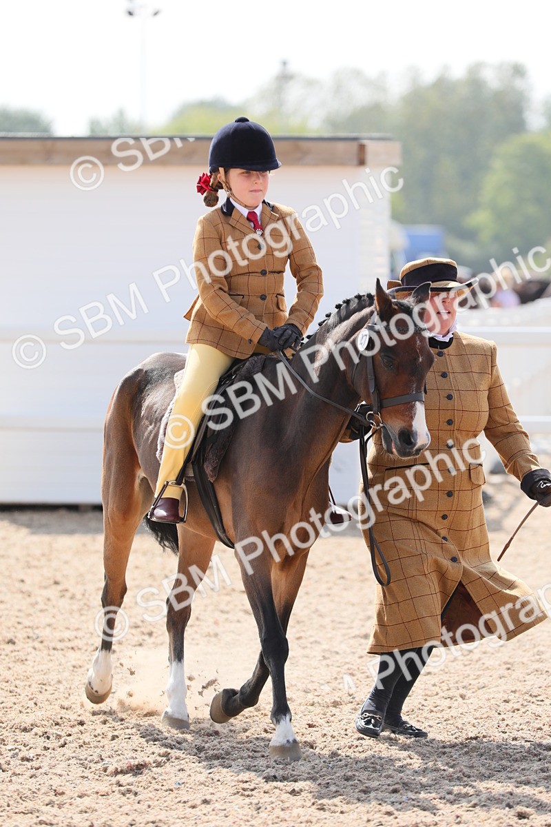 SBM_14036 - Class 309 Lead Rein Pony