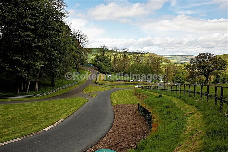 _56A1964 - MINI FESTIVAL 22ND May 2021