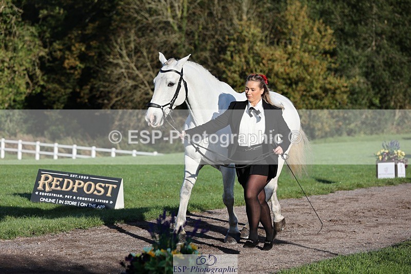 241027-090208-14979 - 461-Olivia.Radcliffe-CHALKY'S.DREAM