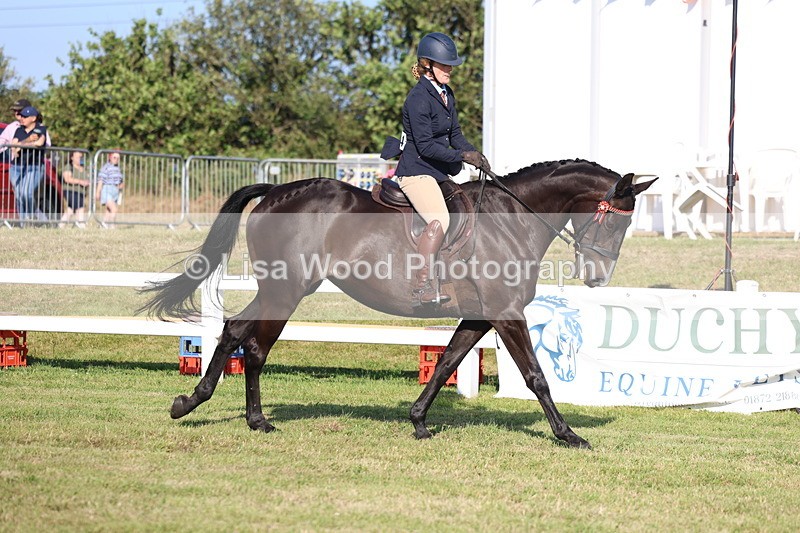 3E7A5315 - Class 2: Rising Star Large Hack/Riding Horse