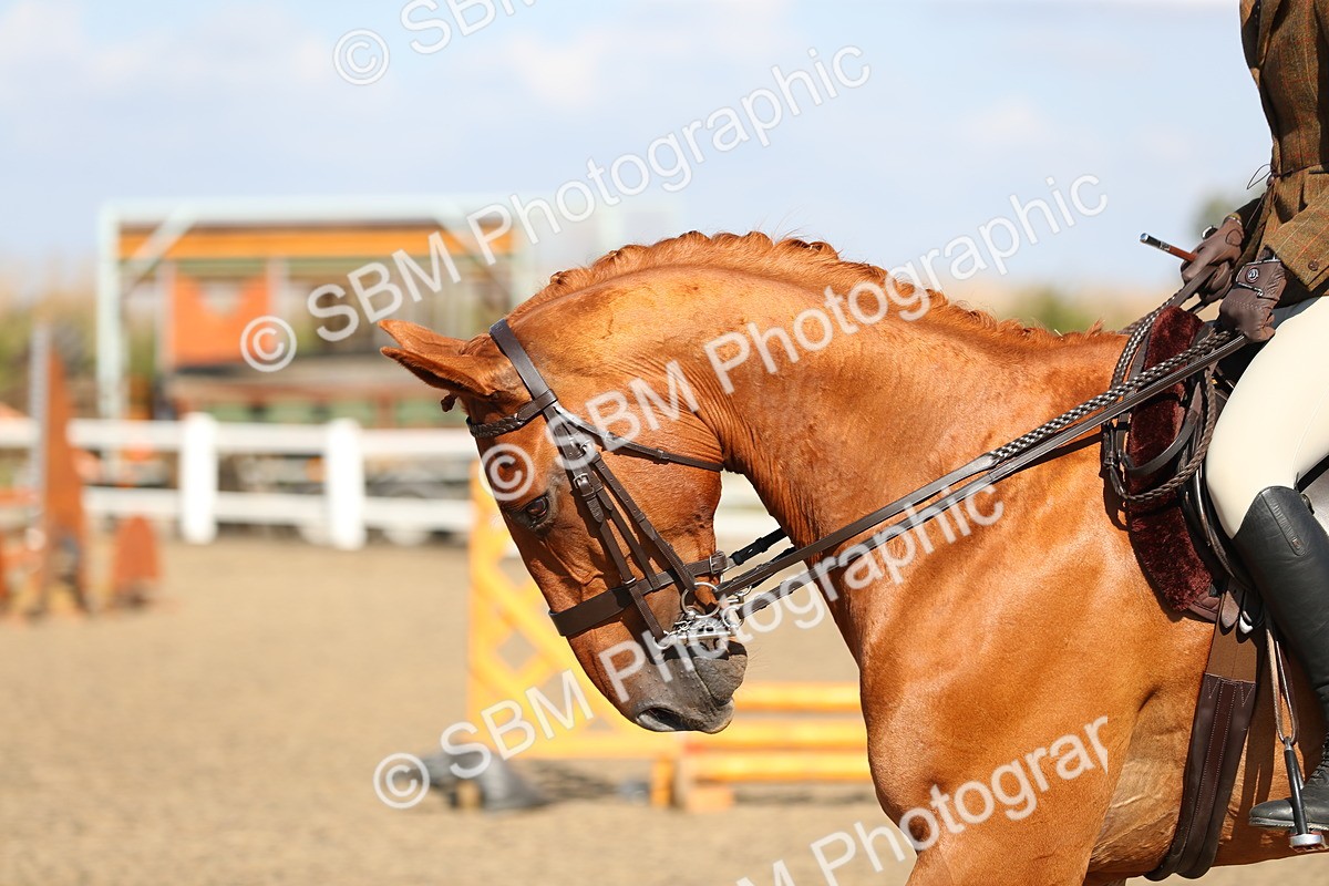 SBM_02296 - Class 43 Ridden Competition Horse/Pony