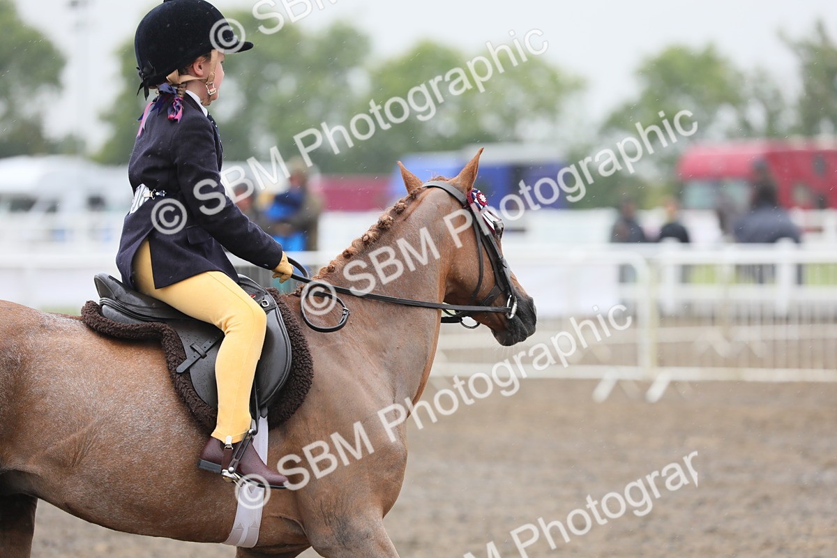 SBM_20594 - Class 804 - Ridden Veteran Pony