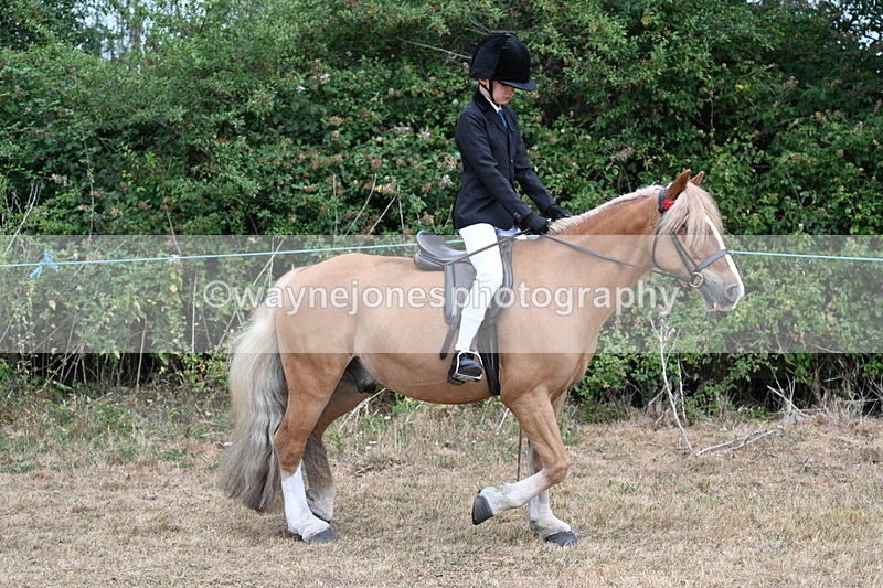 WJ7_6953 - Class 2 Best Rider