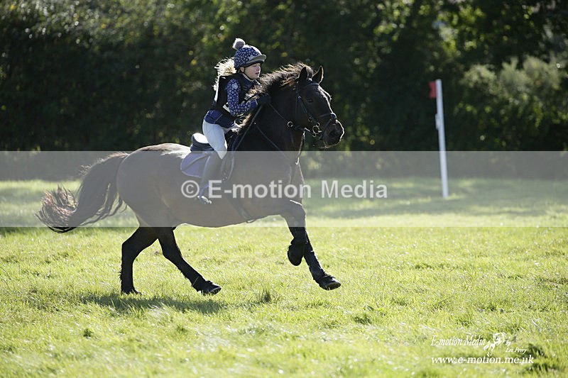  WWHT 031021 1282 - Open Novice (0.80m) 03/10/21