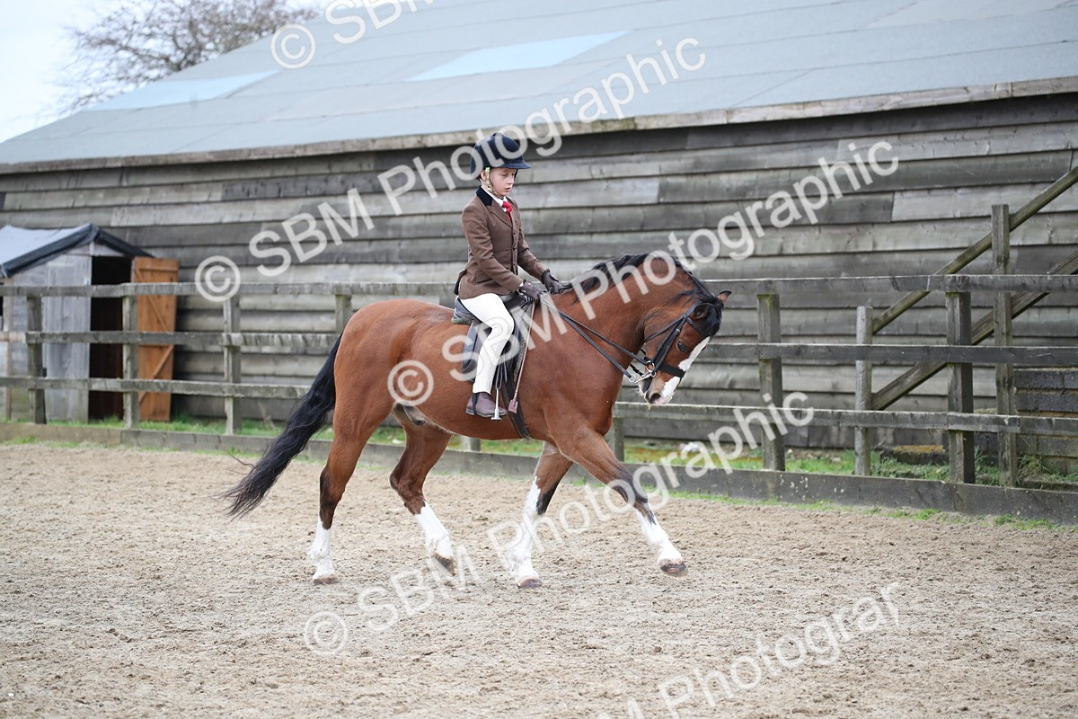SBM_005897 - Class 10-13 - RIHS Small Large Breeds