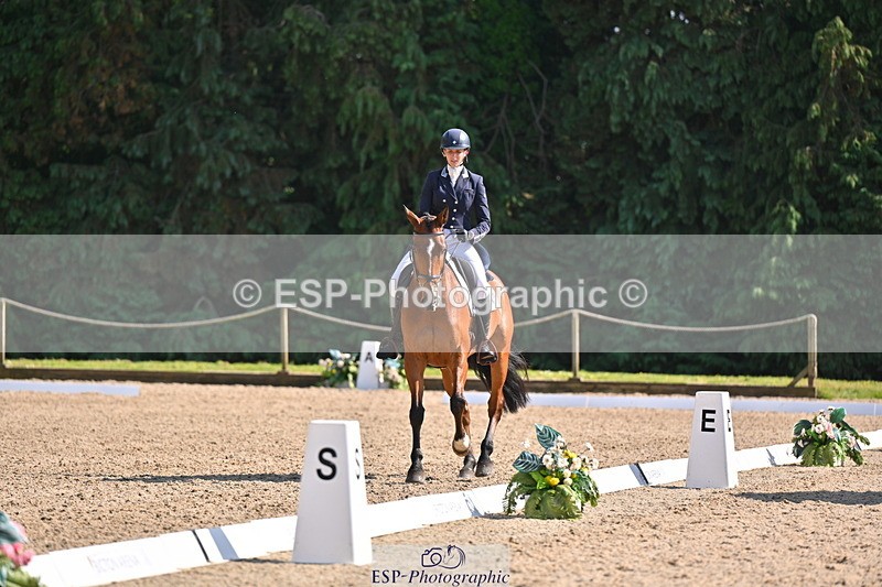 250523A-163436-08098 - B-378-Molly.Brown-KILRUSH.RED