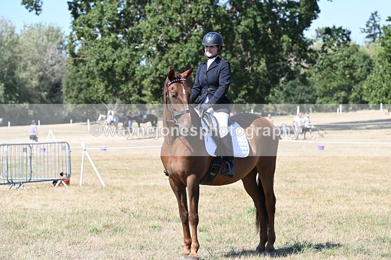 WJ6_8998 - Class 38 Ridden Riding Horse/Pony