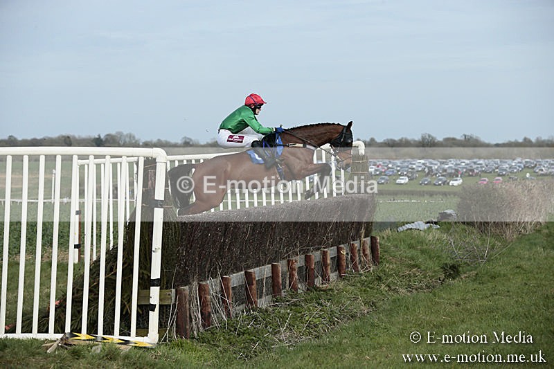 PtP 230319 334 - VWH Hunt Siddington Point-to-Point Racing 23/03/19