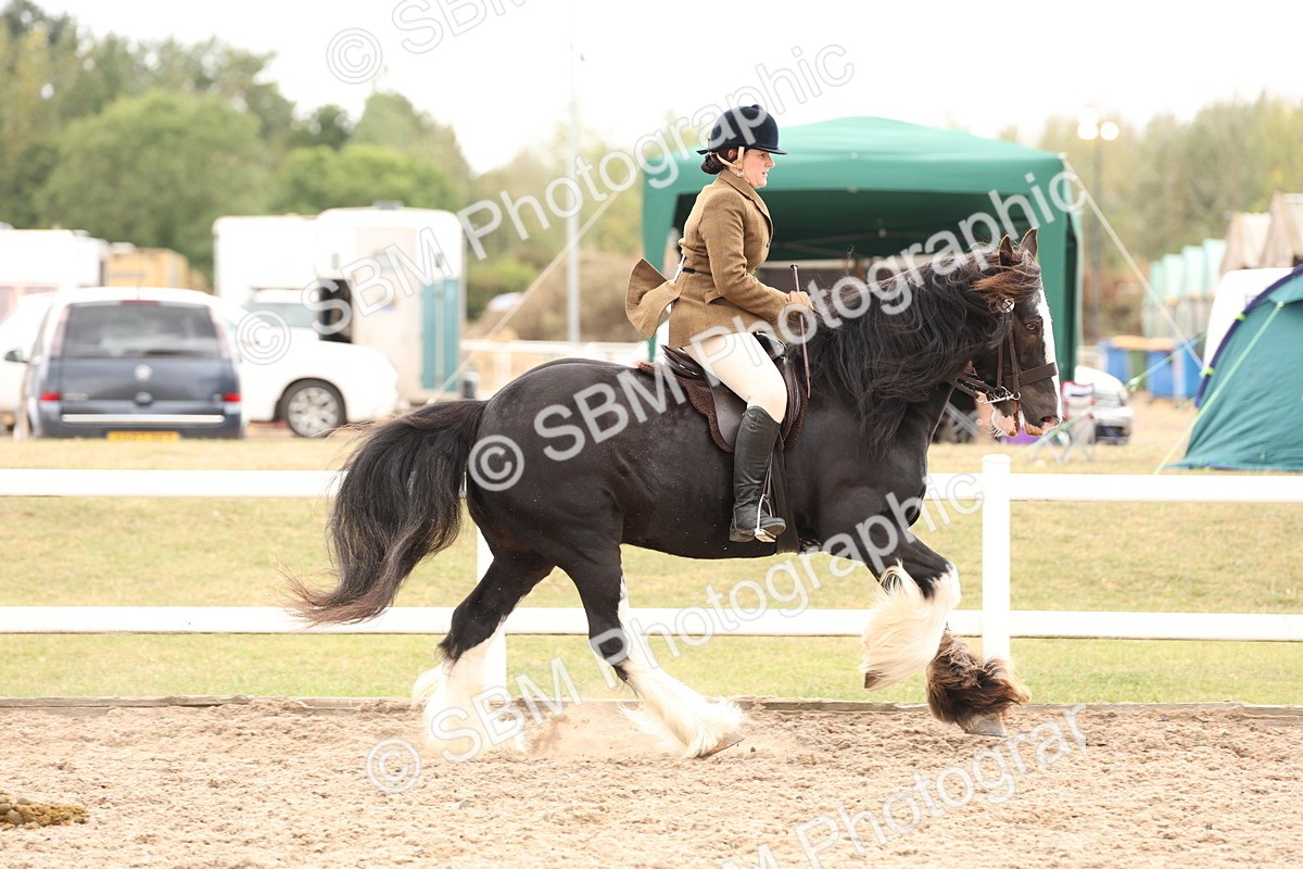 SBM_19670 - Class 216 - Ridden Traditional - Native Cob