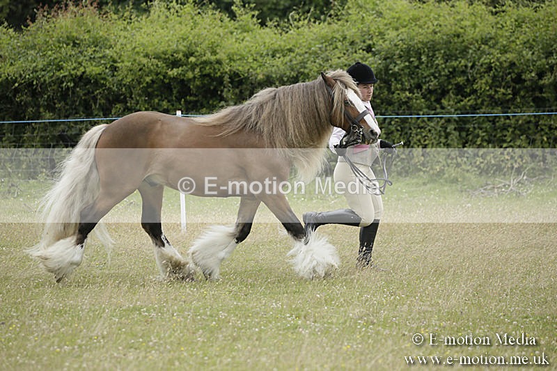B230619-0734 - Bourne Valley Riding Club Summer Show 23/06/19