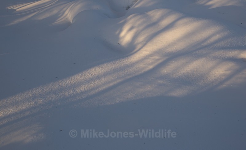 Snowscapes, Northern Finland - FINLAND & SWEDEN LANDSCAPES