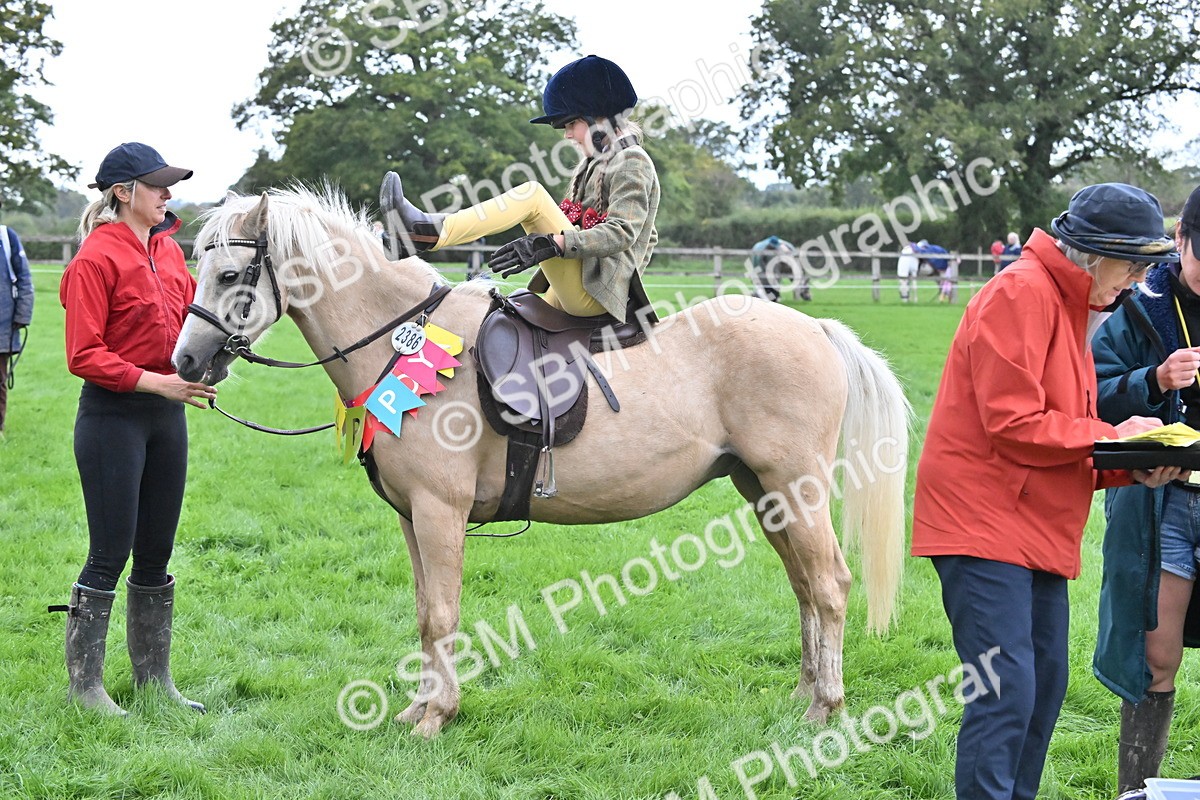 SBM_42914 - S12 - Family Horse & Pony