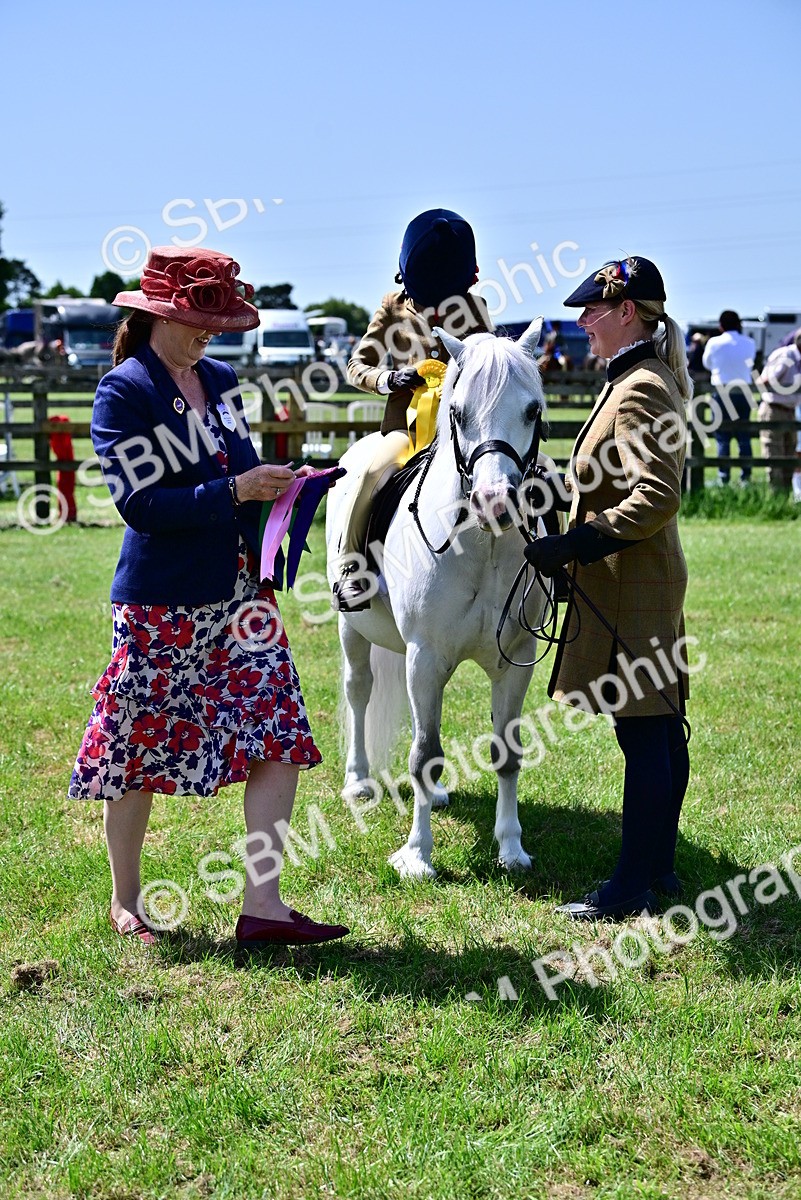 SBM_05960 - Class 59-60 - TSR M&M  Lear Rein and First Ridden Amateur of the year