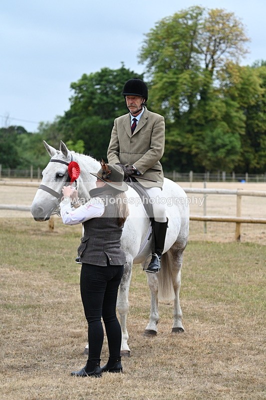 WJ7_0969 - Class 7 Riding Club Show Horse