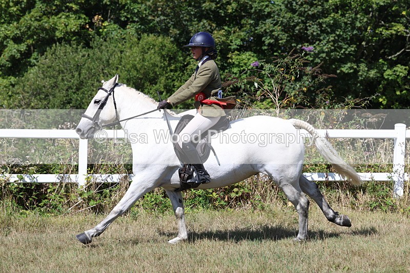 3E7A6410 - Working Hunter Championship