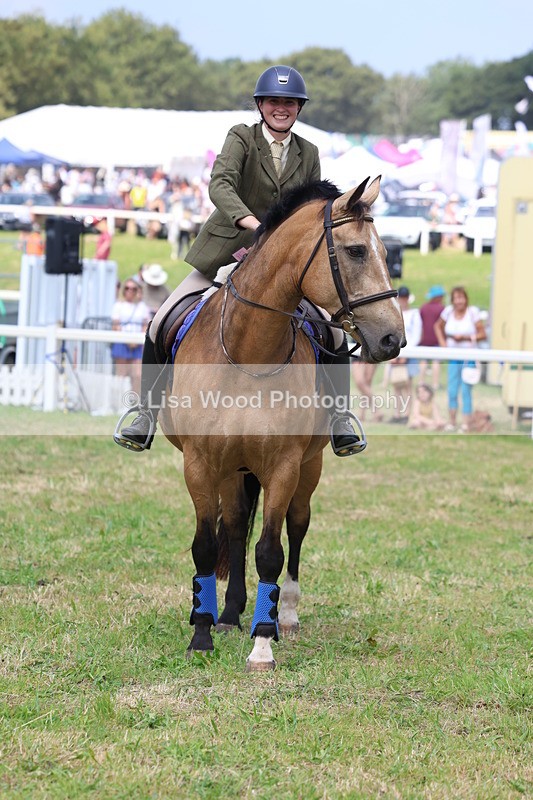 3E7A3033 - Class 7: Senior British Novice/90cm open