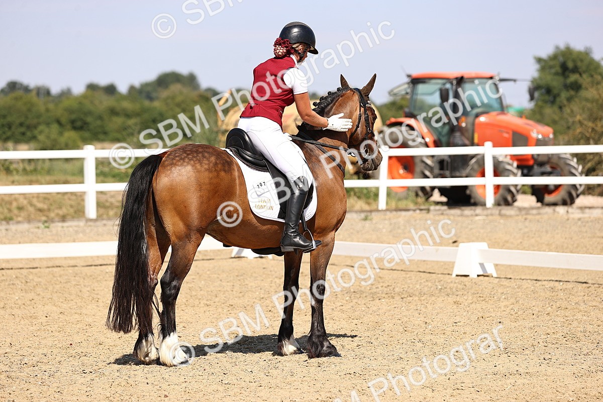 SBM_005606 - Elementary 4 Warm Up