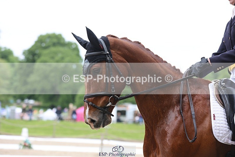 240523-102446-03303 - 212-RIVERSTOWN_ROYAL-Georgie_Frow