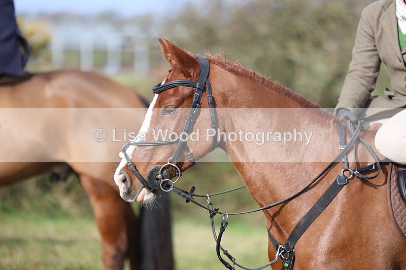 3E7A0592 - Four Burrow Opening Meet 2025