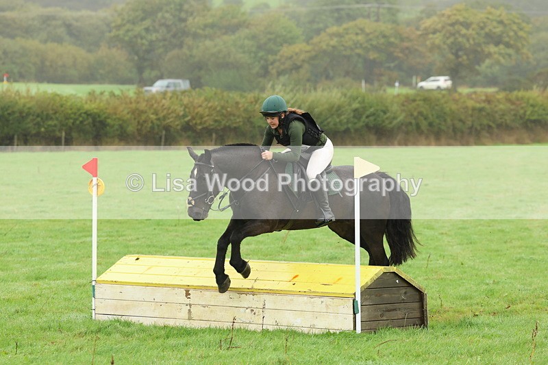 IMG_0730 - Class 2: 70cm: Yellow House