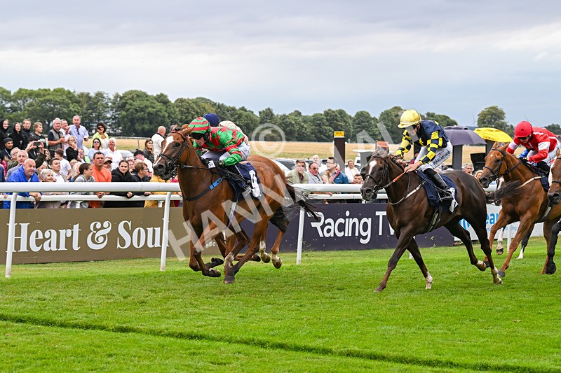 150824-Race 4-Opal Storm-8078 - Race 4