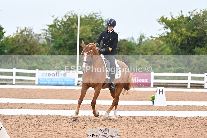 240815A-140223-01741 - 170-India.John-Grayswood.Orlando