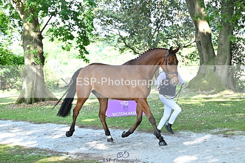 250521A-161942-01061 - C-267-Jeanette.Brakewell-PRIMIRO