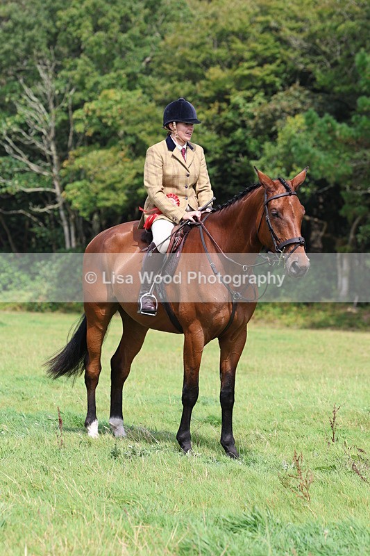 3E7A5927 - Class 26 and 27: 70cm Working Hunter