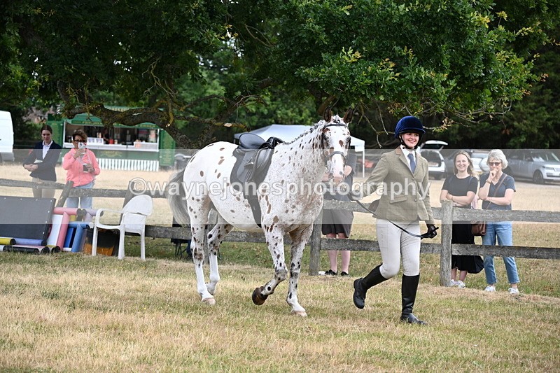 WJ6_3848 - Class 9 Tack & Turnout