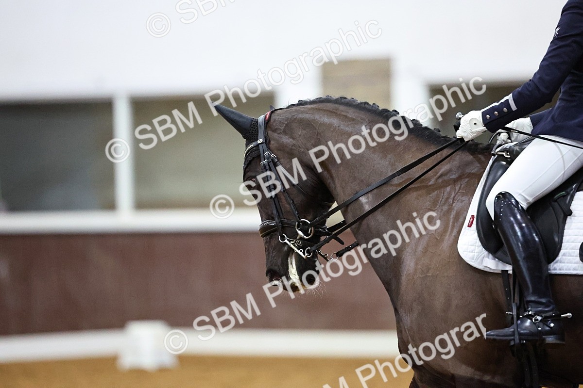 SBM_002530 - Class 23-25-26 - FEI PSG FEI INTI FEI Pony Team Test
