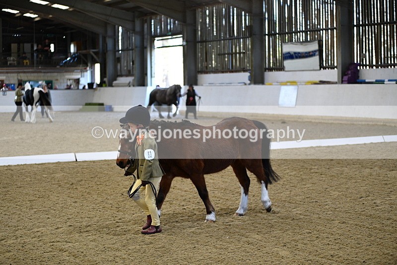 WJ5_3726 - Class 5 In Hand Veterans