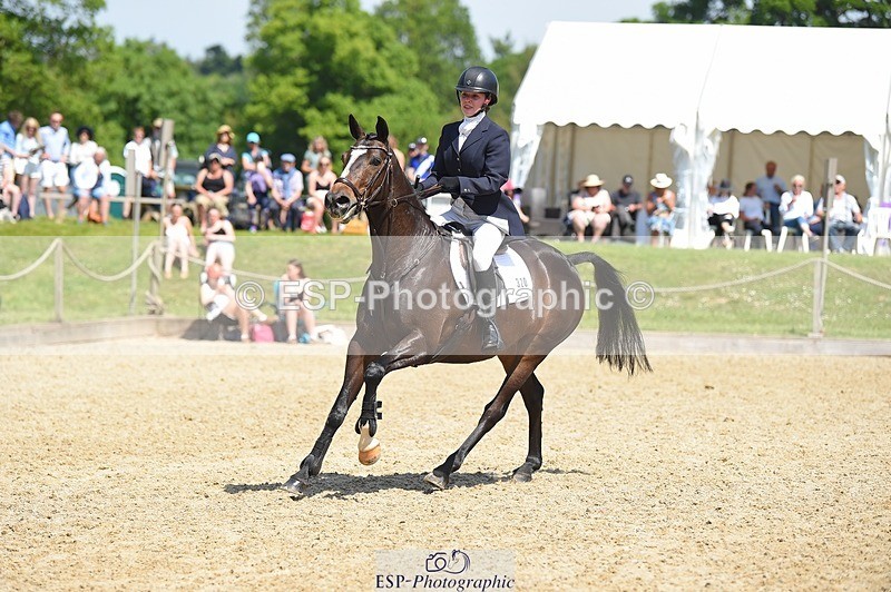 230528-113624-15282 - 320-CAVALIER_GUNFIRE-Tabitha_Baker-SUNTrotUp+SJ