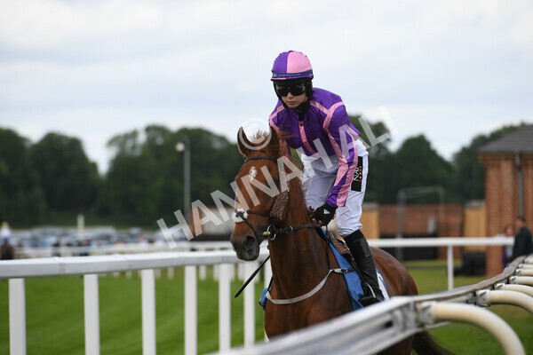 yr11062022r2-31 - Race 2 2.00pm Queen Mother's Cup