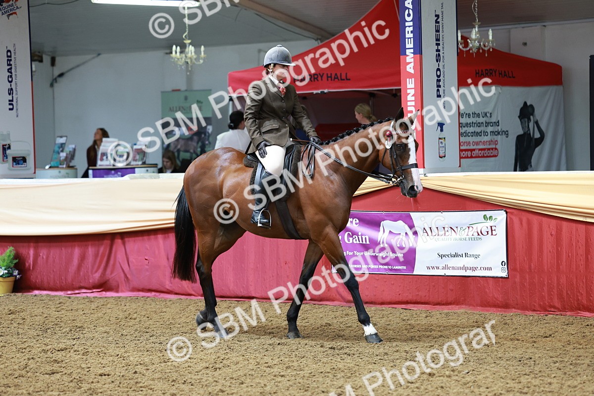 SBM_14874 - Class 108 - Ridden Retired Racehorse