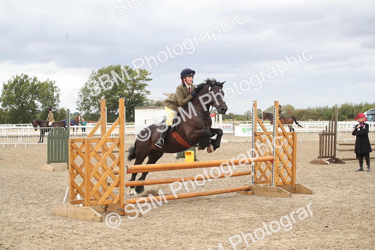 SBM_18360 - Class 509B - Working Veteran - 80cm (20+)