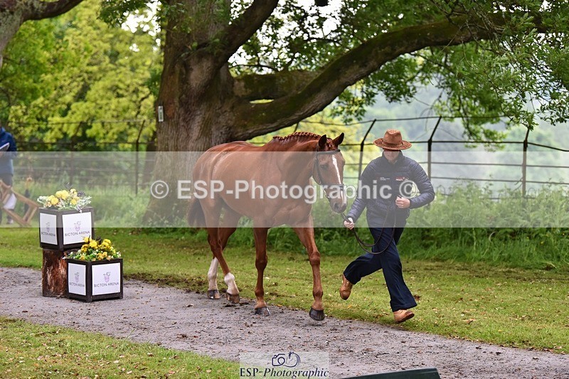 240522-164134-01085 - 216-I'M_A_WONDER-Rosie_Bradley-Hole