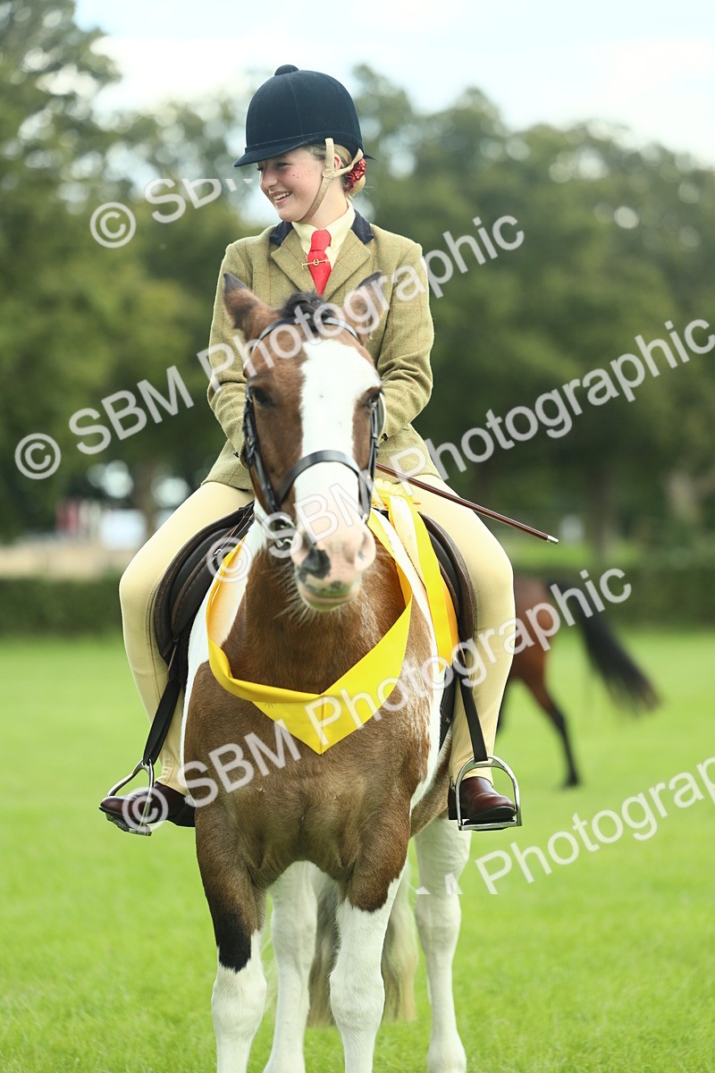 SBM_42183 - S29 - Novice & Newcomers Working Hunter Pony