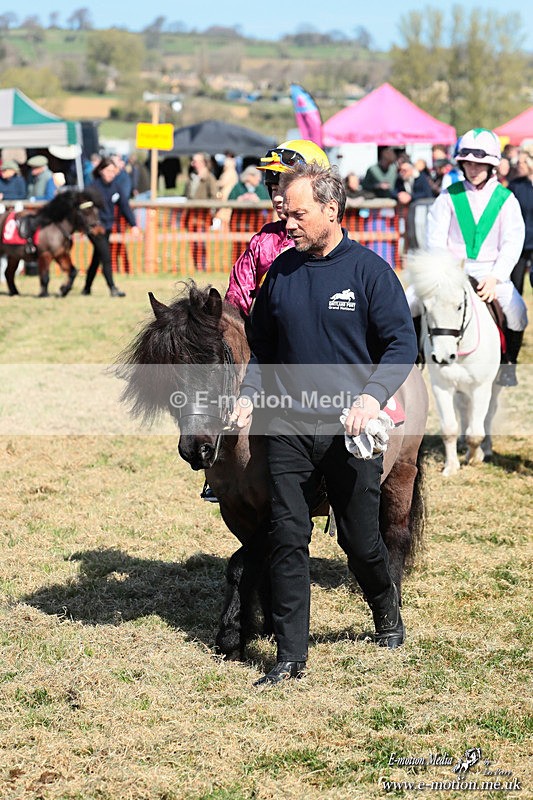 Shet 060426 118 - Shetland Pony Racing Paxford Races Easter Mon 06/04/26