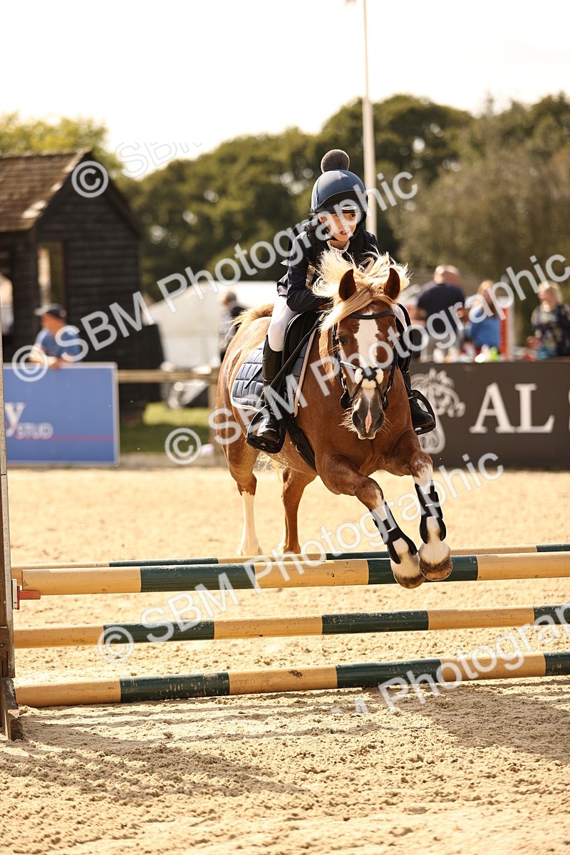 SBM_67018 - J13 - Junior Pony 60cm Championship