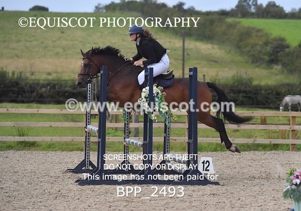 BPP_2493 - DERBY CLASS 7 - 80CM