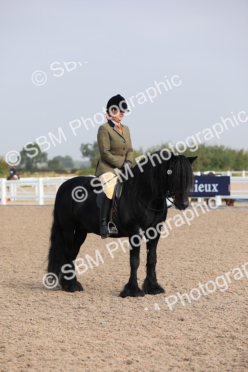 SBM_10152 - Class 302 Ridden M&M -Large Breeds