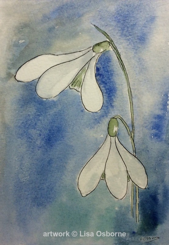 Snowdrops - Flowers