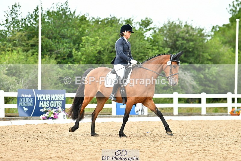 230702A-123916-09675 - Cls 28 Elementary 45