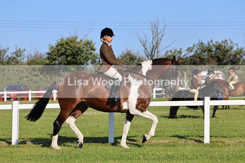 IMG_1198 - Class 27: Ridden Plaited Coloured Horse