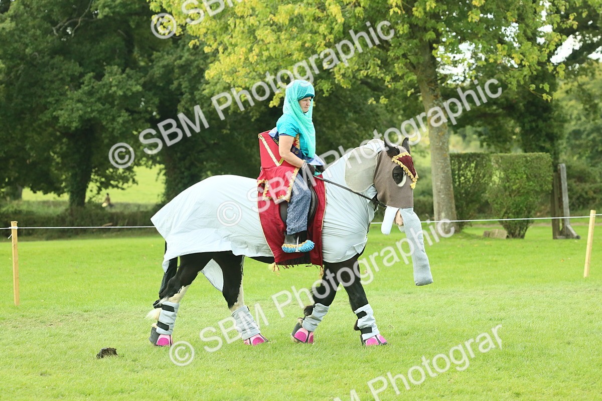 SBM_63688 - S35 - Fancy Dress Showing