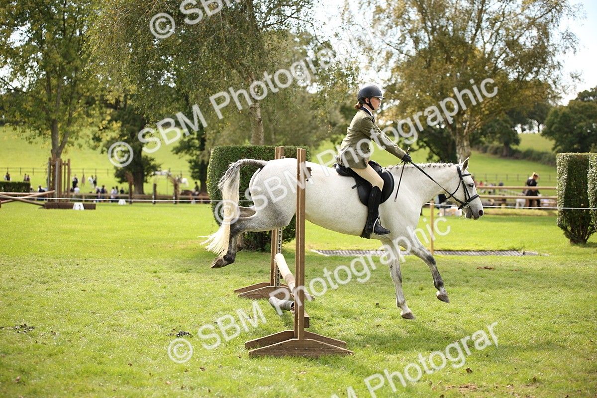 SBM_42326 - S13 - Pony Club Pony