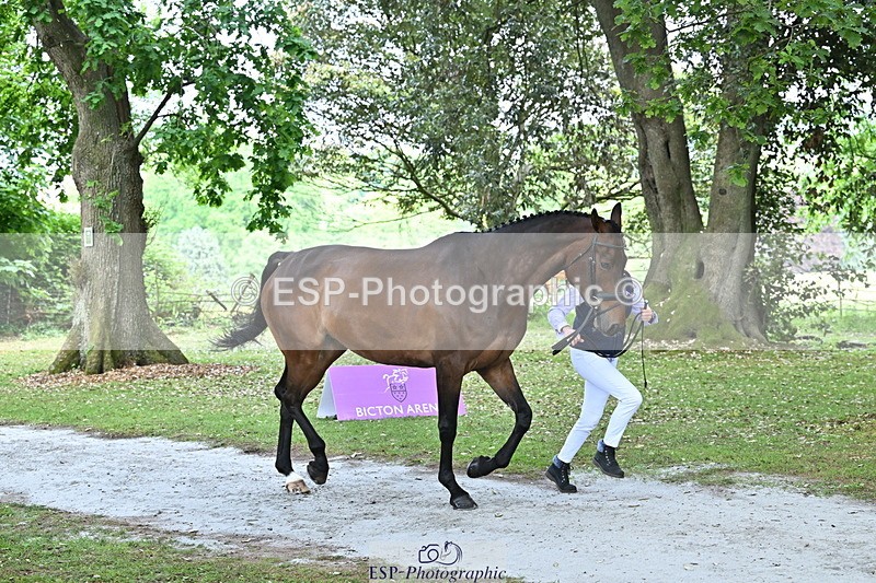 250521A-152109-00441 - B-308-Jeanette.Brakewell-COUGAR.MAIL