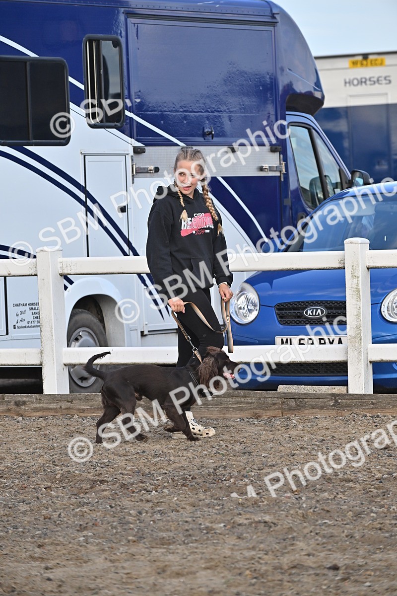 SBM_09515 - Lorry Dogs
