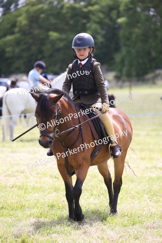 20260614-1807 - Class 21 - Novice Working Hunter Pony