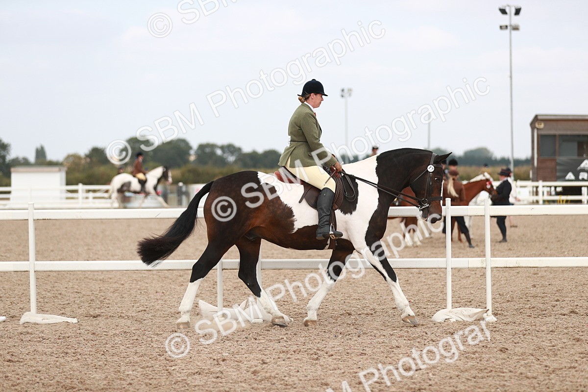 SBM_16613 - Class 214 Ridden Cob